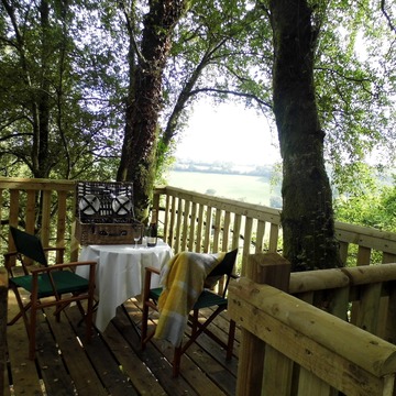 Picnic Platform in the Trees